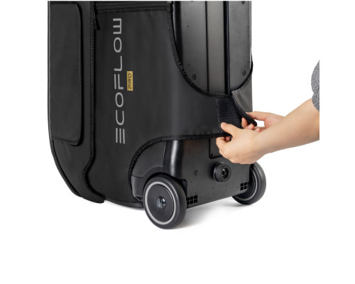 Кейс EcoFlow DELTA Pro Кейс EcoFlow DELTA Pro